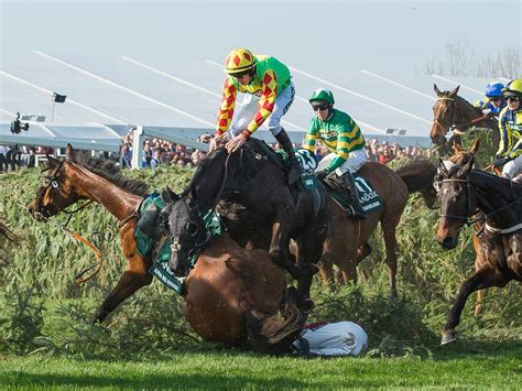 grand national 2018|grand national 2019.